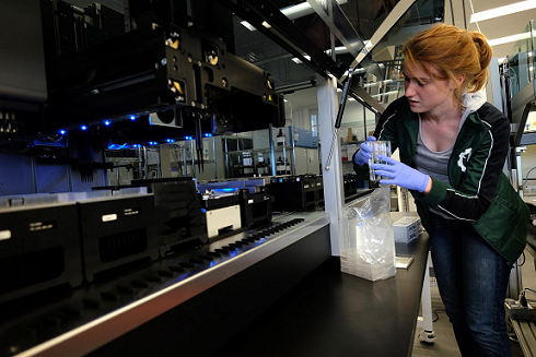 Ginkgo Bioworks_Lily_website